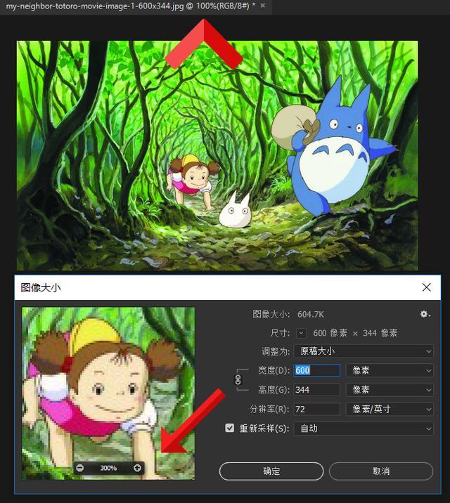 修图神器！PS无损放大图片插件Alien Skin Blow Up，可调3600%