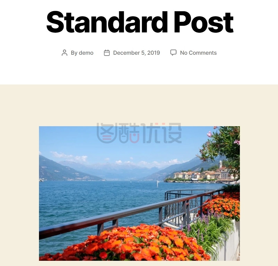 如何优化 WordPress 网站上的图像——分步指南