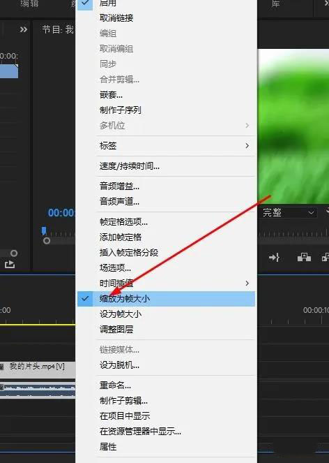 PR如何调整视频尺寸大小