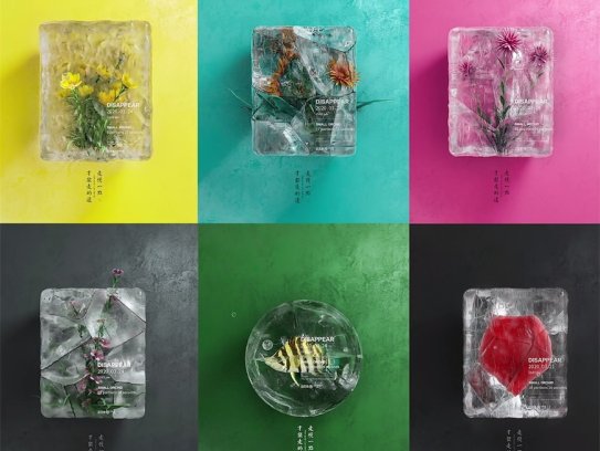 C4D教程!2022年教你用OCTANE渲染器创造一束结冰的花