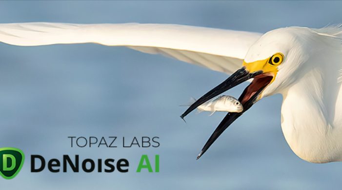 马上进入5月刚刚更新！摄影后期PS图片降噪插件获得突破性升级！简单高效