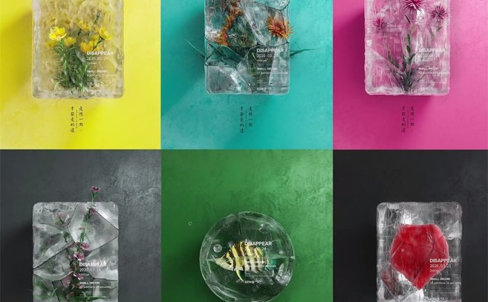 C4D教程！2022年教你用OCTANE渲染器创造一束结冰的花