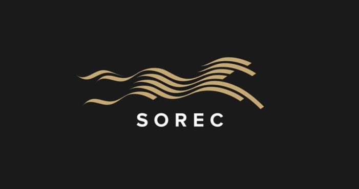 AI软件用动感曲线绘制一匹奔腾的马