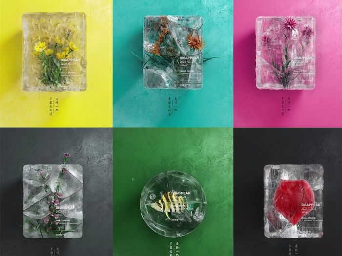 C4D教程!2022年教你用OCTANE渲染器创造一束结冰的花