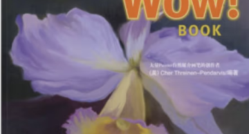 Painter X WOW book经典平面设计书