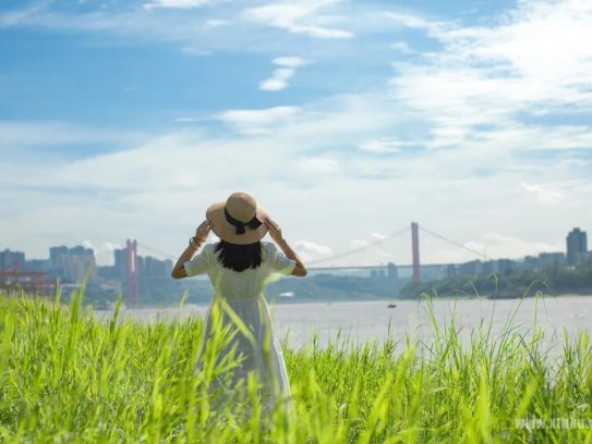 如何调出透亮的照片？只需简单三步就搞定