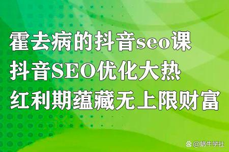 霍去病的抖音seo课，抖音SEO优化大热，红利期蕴藏无上限财富