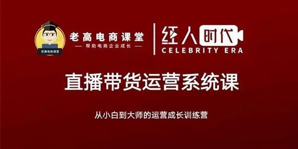 老高电商课堂飞樊《抖音直播带货运营系统课》 [视频]