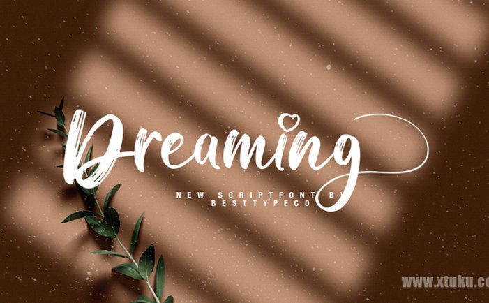 一款亲切现代的纹理手写英文字体—Dreaming