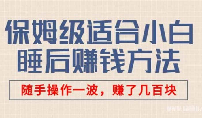 苏笙君保姆级适合小白的睡后收入副业赚钱思路和方法 [免费课件]