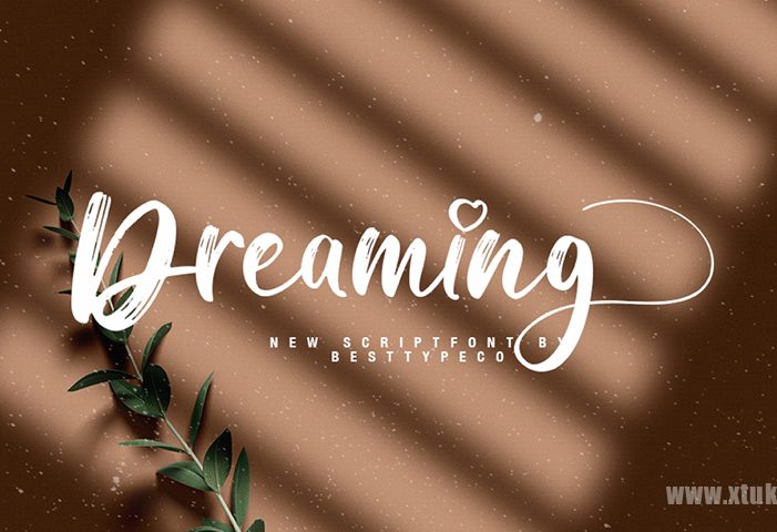 一款亲切现代的纹理手写英文字体—Dreaming