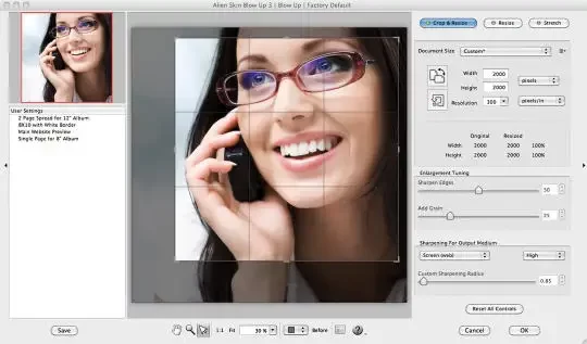 修图神器!PS无损放大图片插件Alien Skin Blow Up,可调3600%-Alien Skin Blow Up for Mac(PS/Lr图片无损放大插件)v3.1.4.404免激活版