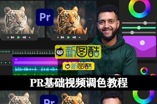 PR基础视频调色教程 Introduction To Color Correction & Grade In Premiere Pro