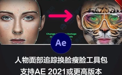 AE脚本|人脸面部跟踪合成换脸表情美颜变形美容滤镜特效插件预设 AE Face Tools V5.2 + 使用教程