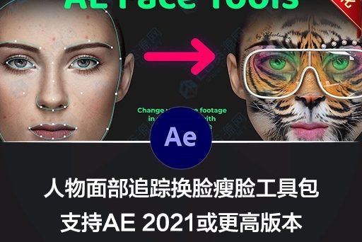 AE脚本|人脸面部跟踪合成换脸表情美颜变形美容滤镜特效插件预设 AE Face Tools V5.2 + 使用教程