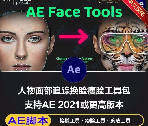 AE脚本|人脸面部跟踪合成换脸表情美颜变形美容滤镜特效插件预设 AE Face Tools V5.2 + 使用教程